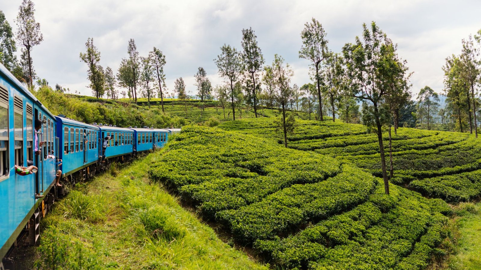 Top 5 Places to Visit in Sri Lanka: A Journey Through the Island Paradise