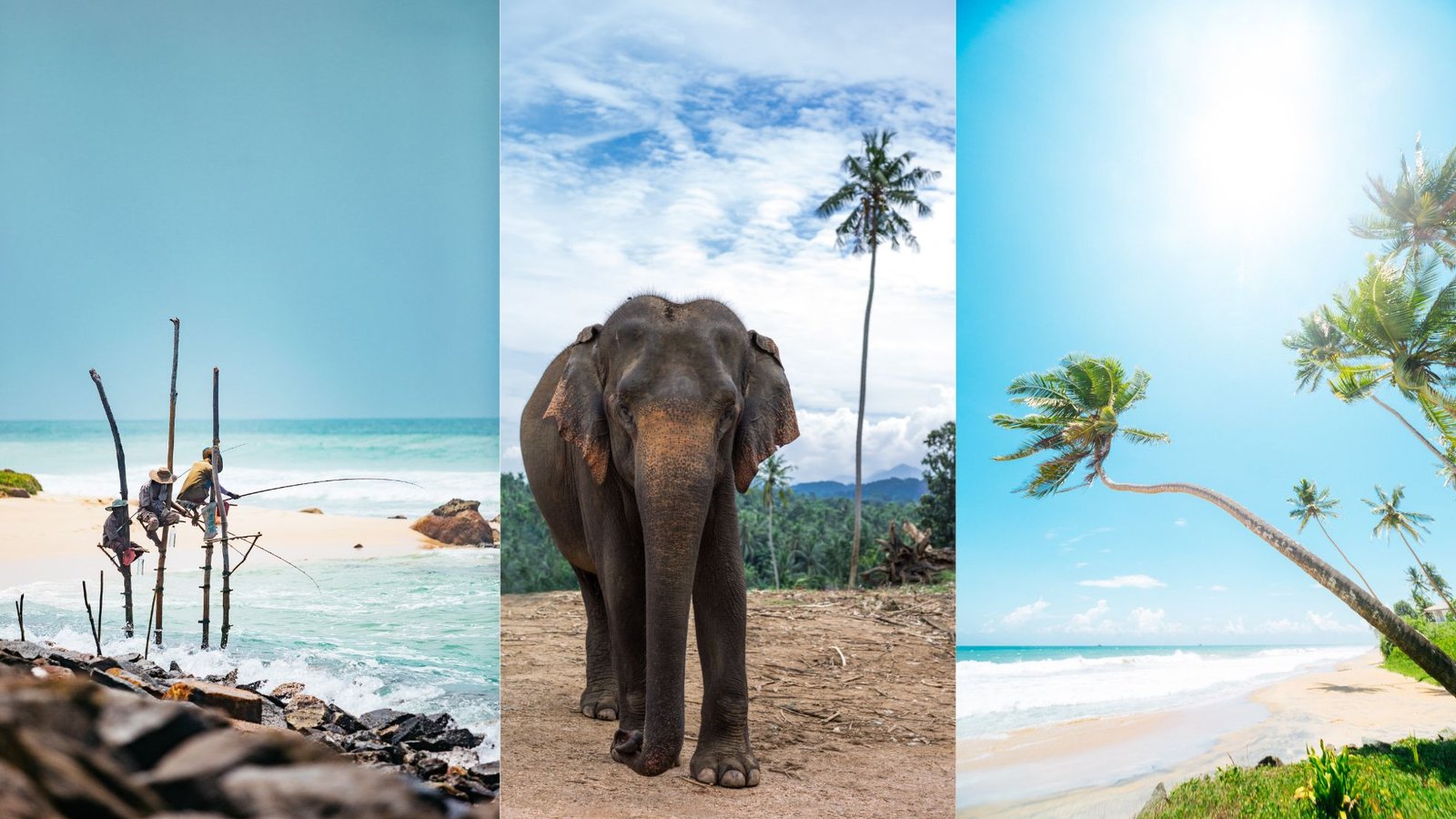 Best Things to Do in Sri Lanka in 2025 – Your Complete Travel Guide