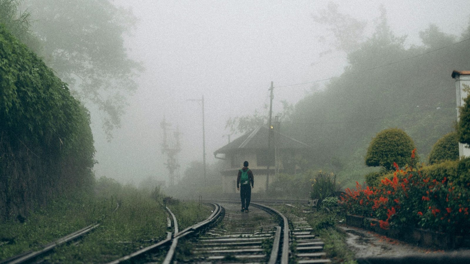 Top 12 Unforgettable Experiences You Can Only Have in Sri Lanka