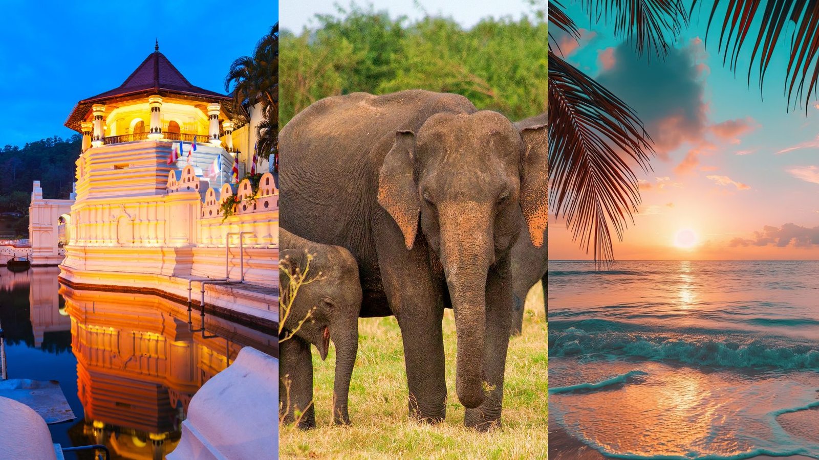 10 Unforgettable Experiences Every Traveler Should Have in Sri Lanka