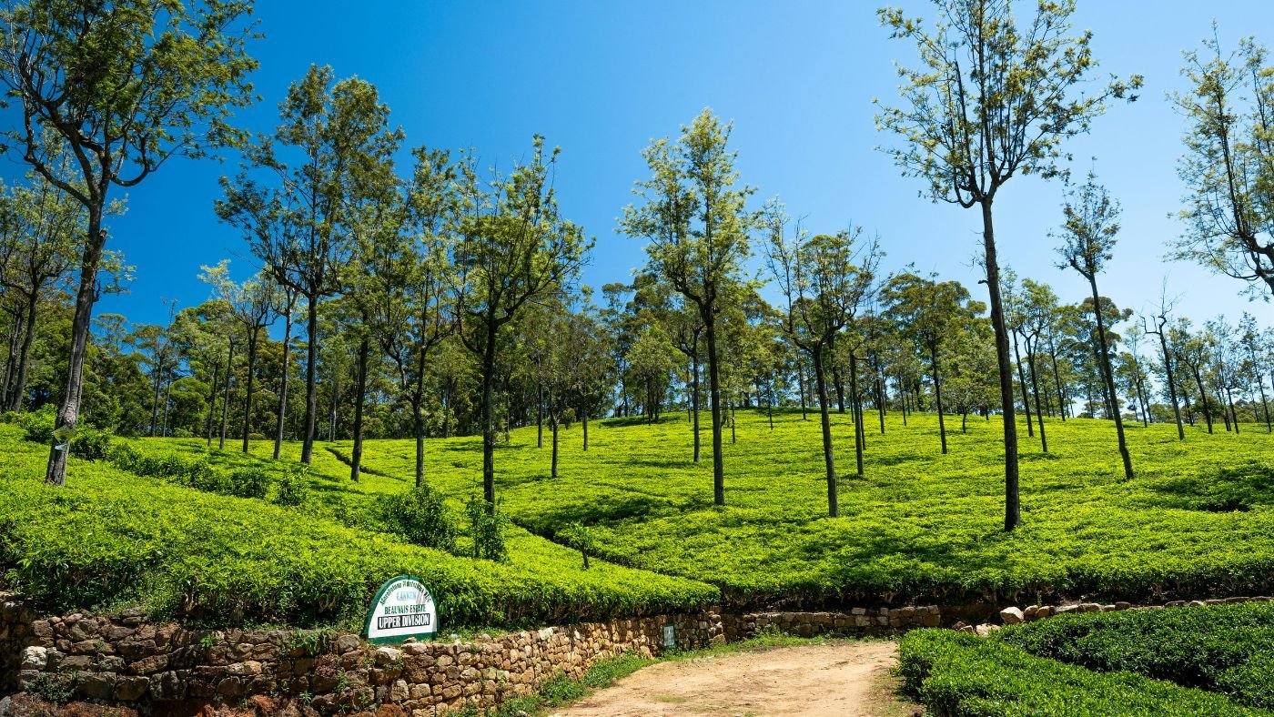 Best Sri Lanka Tour Packages for 2026: Private, Luxury & Custom Travel Options